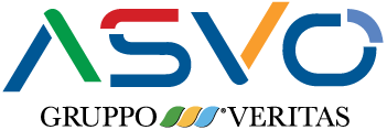 logo-asvo-footer